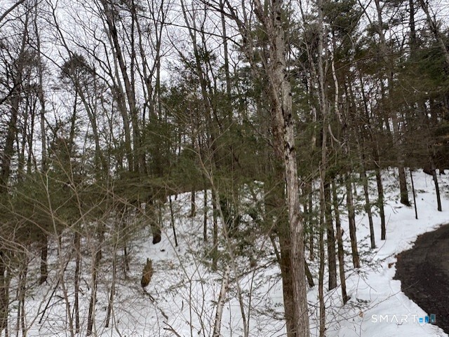 52 Shingle Mill Road Simsbury CT 06092