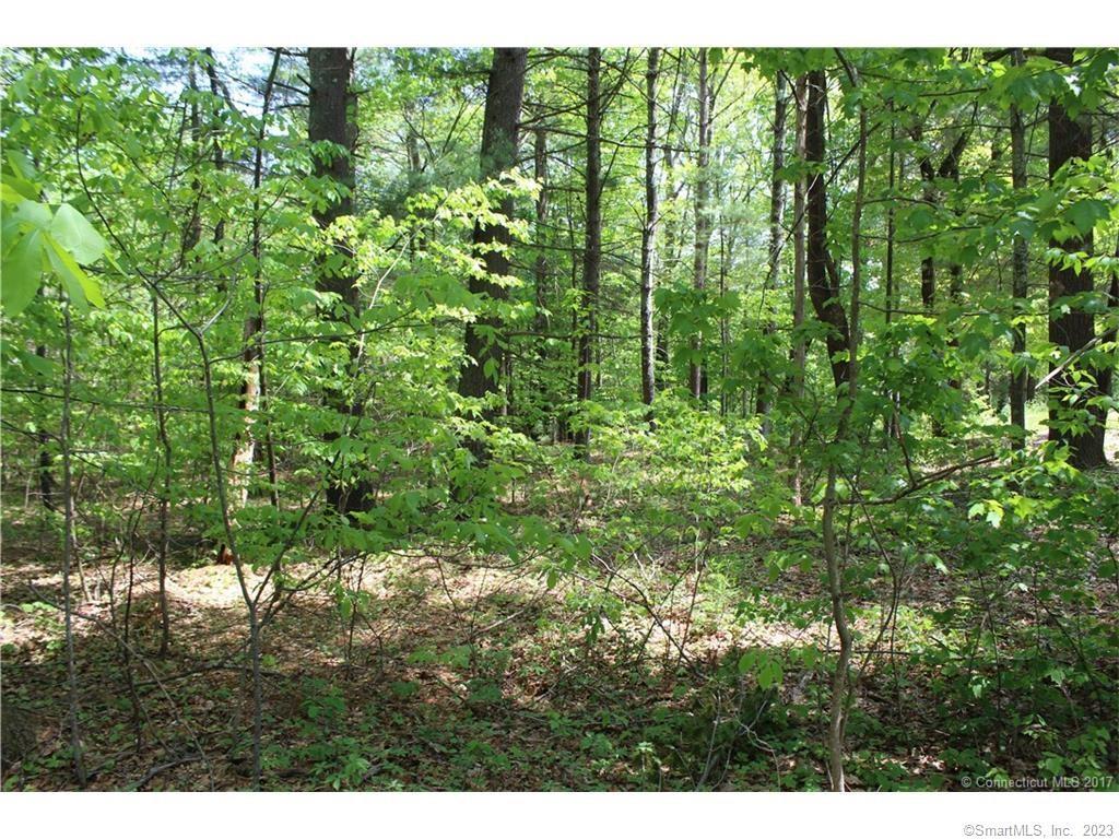 Lot 2 Brook Road Hampton CT 06247