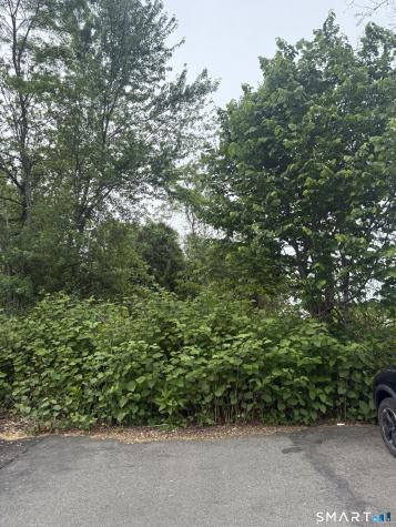 Middletown Avenue Wethersfield CT 06109