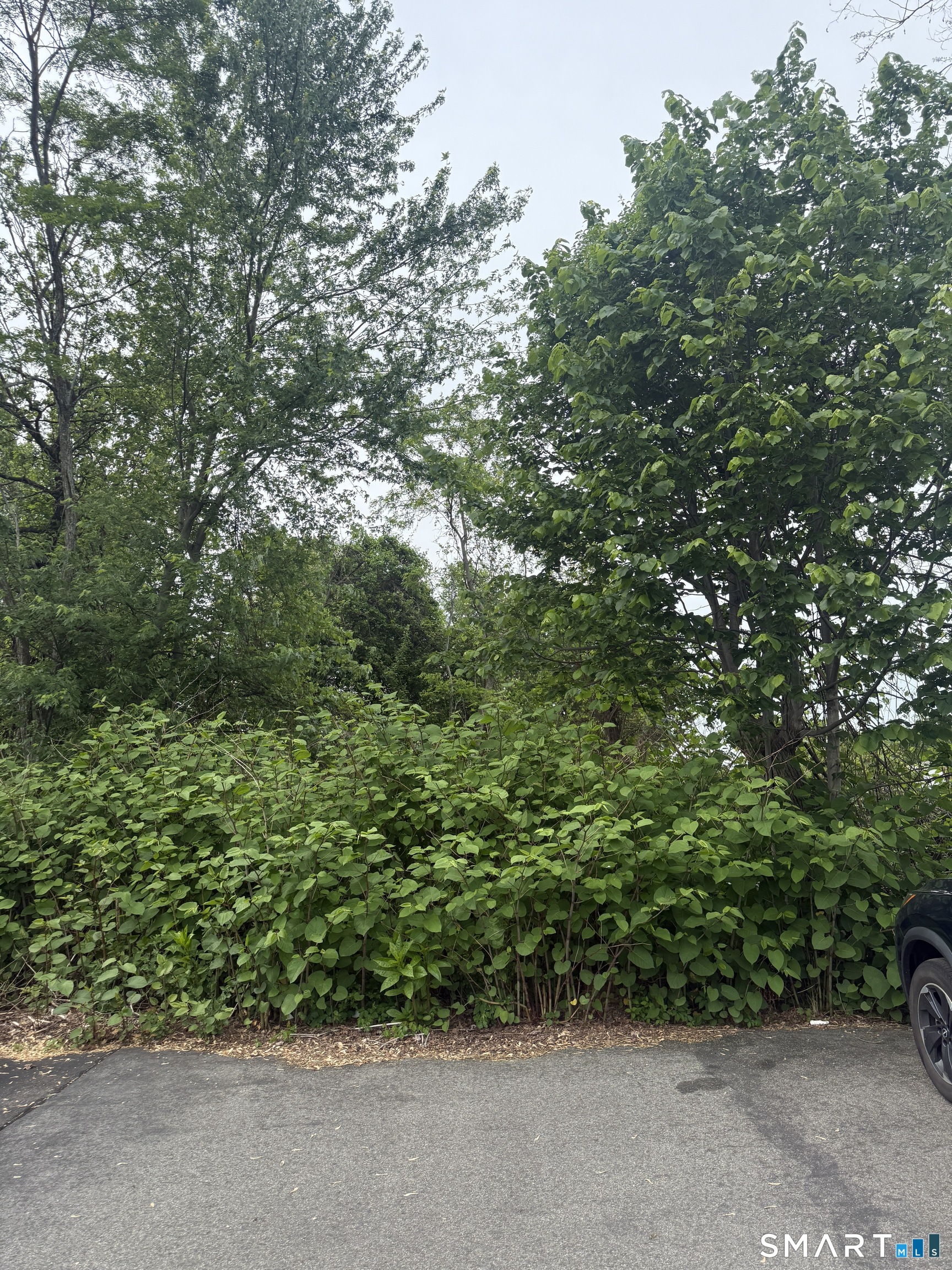 Middletown Avenue Wethersfield CT 06109