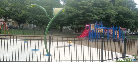 New Haven CT 06511