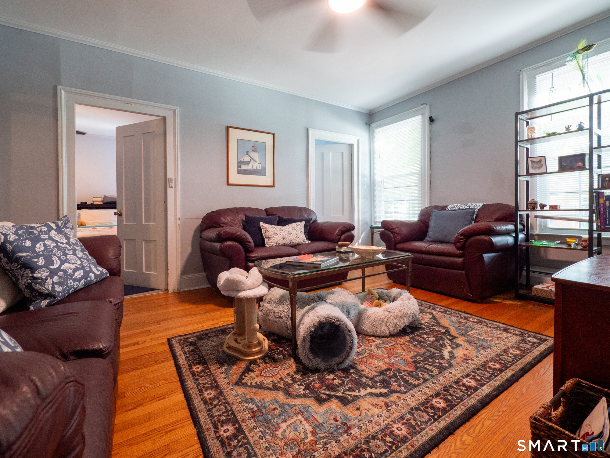 215 Dwight Street New Haven CT 06511