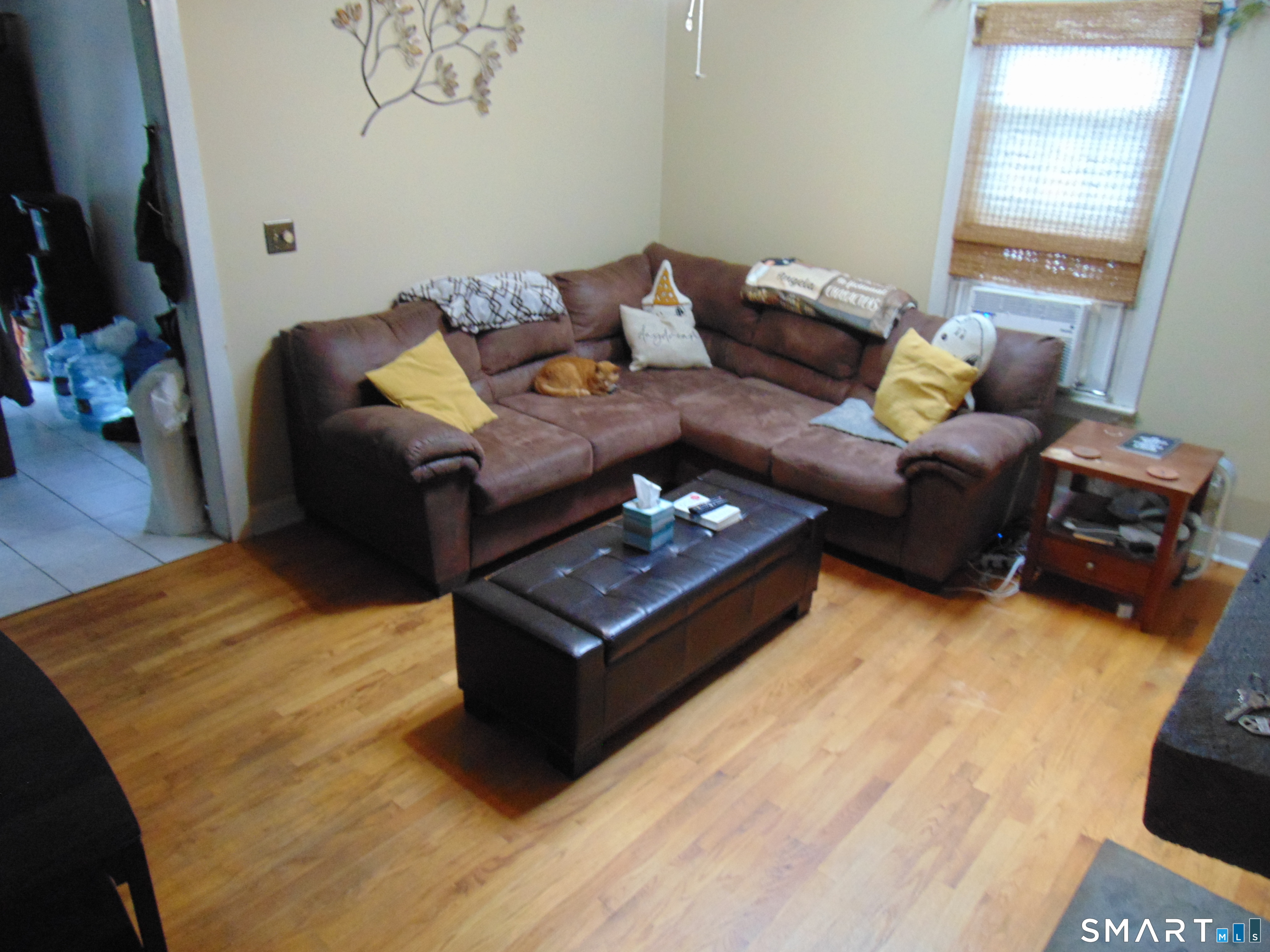 247 Washington Avenue West Haven CT 06516