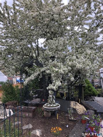 671 Rubber Avenue Naugatuck CT 06770