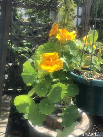 671 Rubber Avenue Naugatuck CT 06770