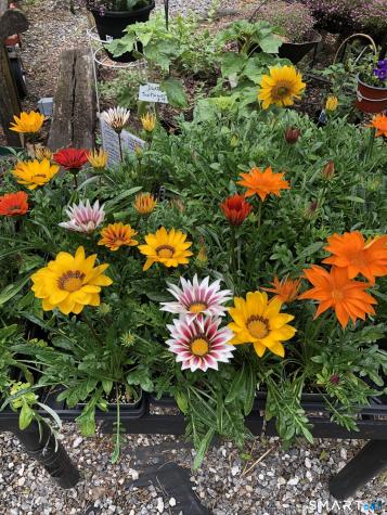 671 Rubber Avenue Naugatuck CT 06770