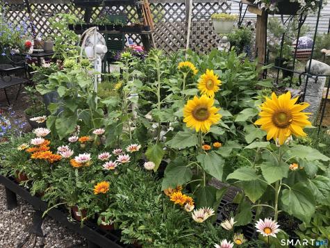 671 Rubber Avenue Naugatuck CT 06770