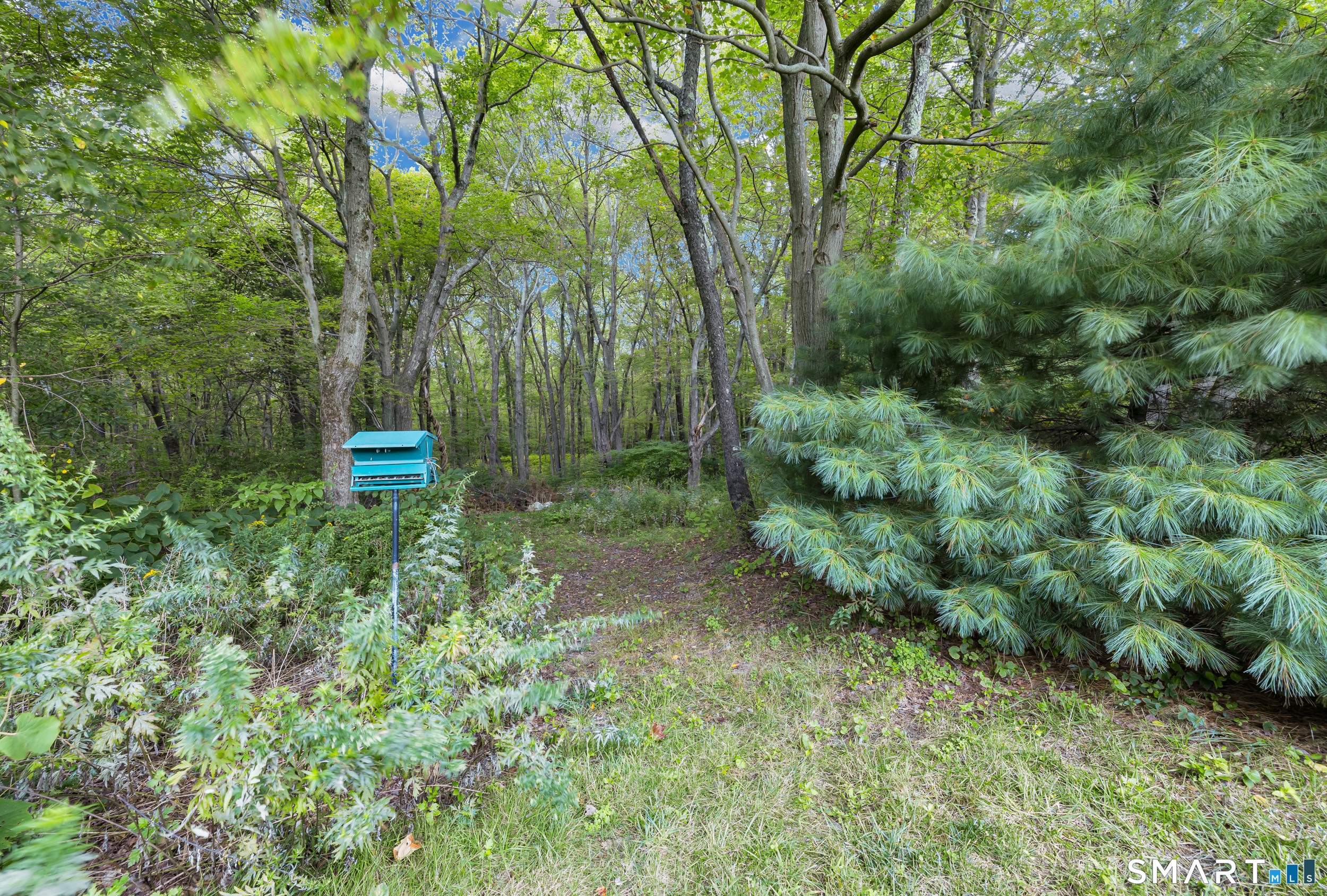 1259 Wolcott Road Wolcott CT 06716