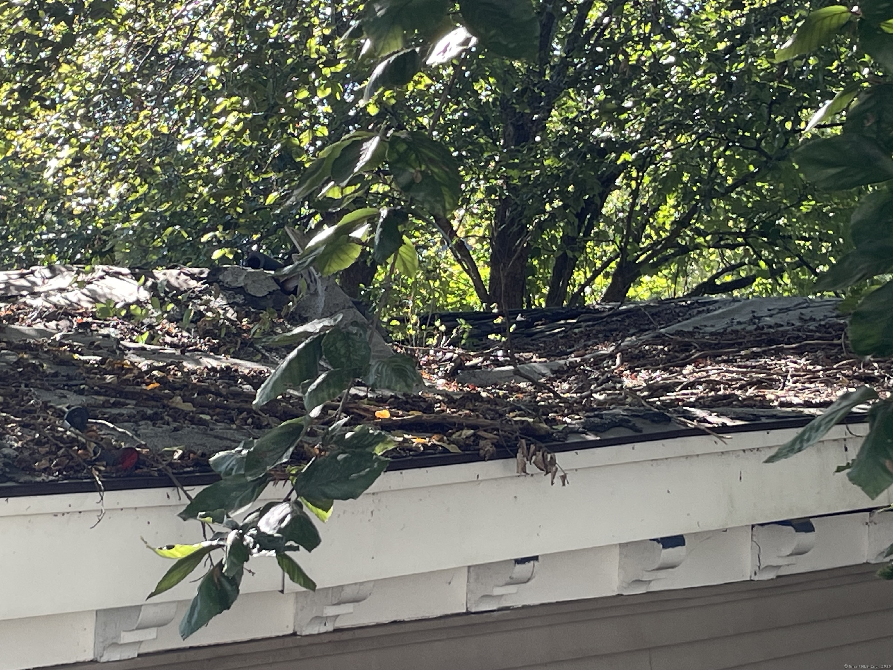 11 Division Street Norwich CT 06360