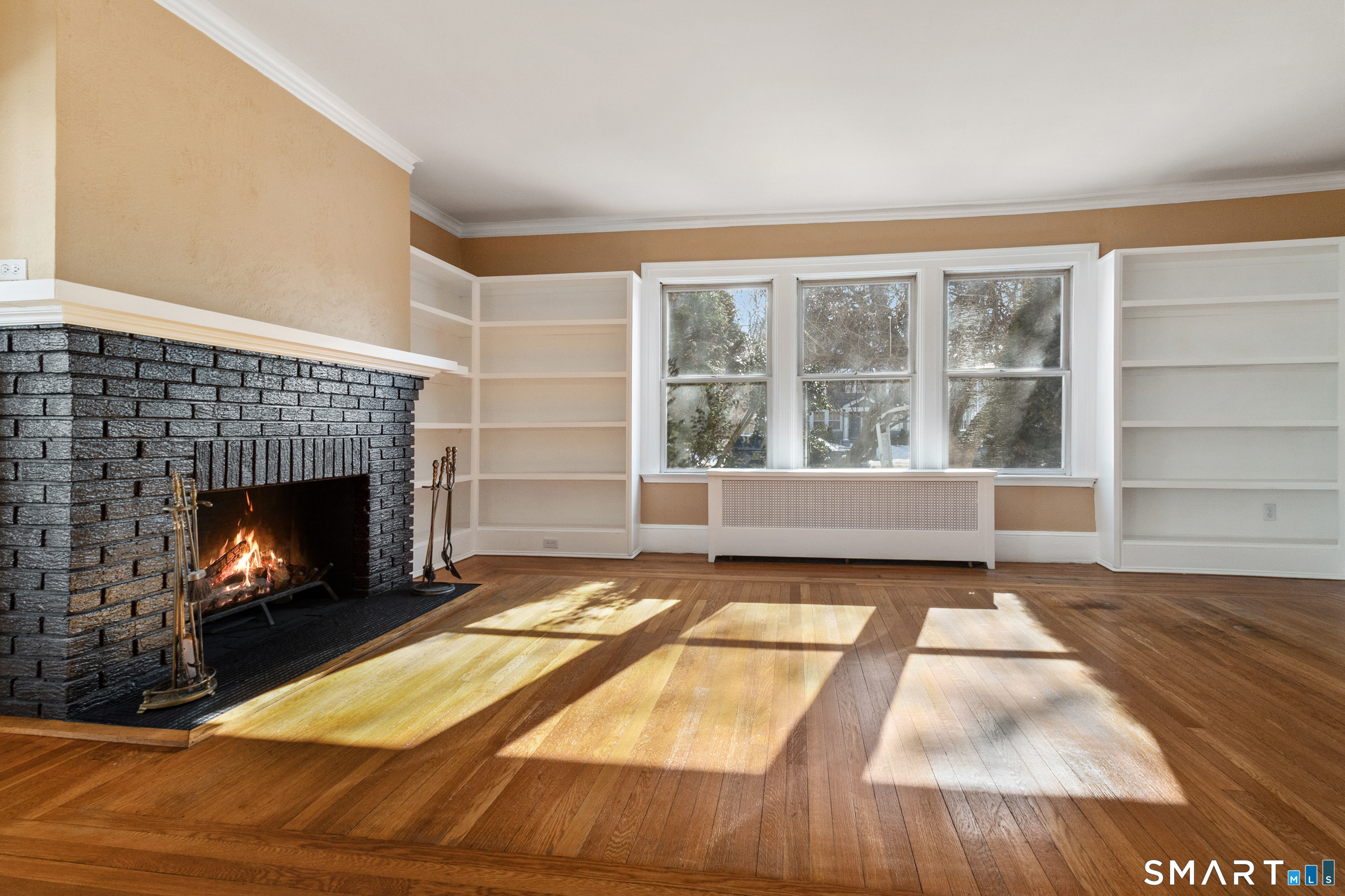 1955 Chapel Street New Haven CT 06515