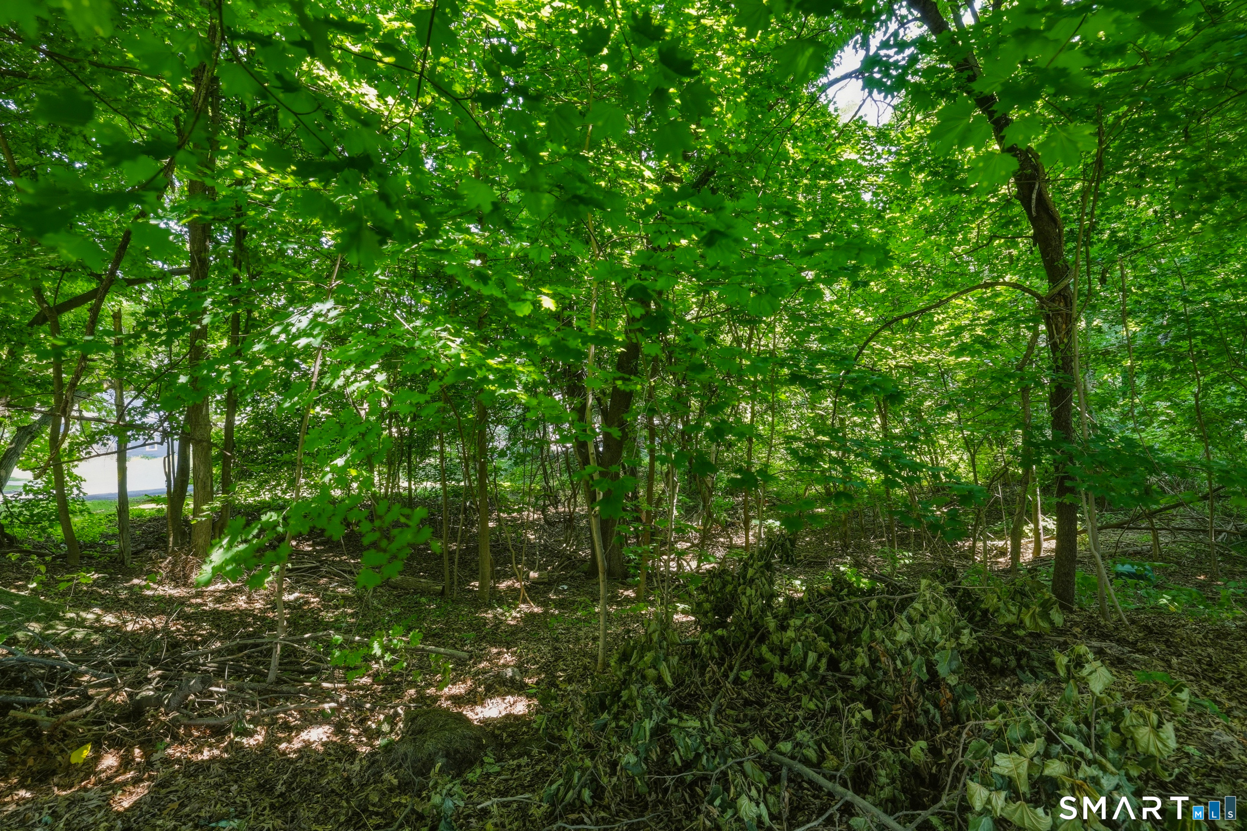 17-19 Gorman Place Manchester CT 06040