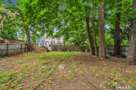 38 Bishop Street New Haven CT 06512