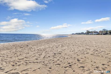 325 Savin Avenue West Haven CT 06516