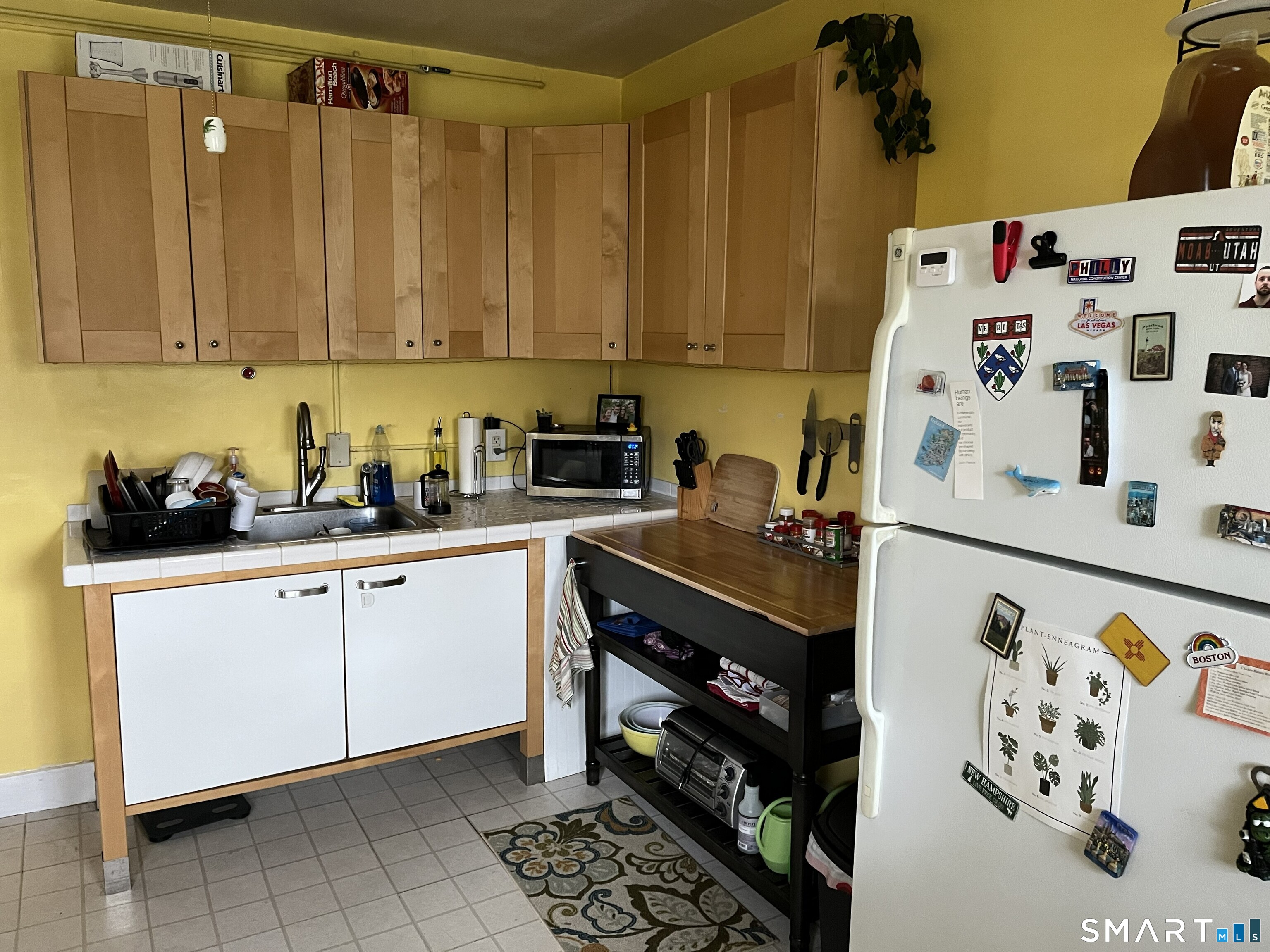 117 Nicoll Street New Haven CT 06511
