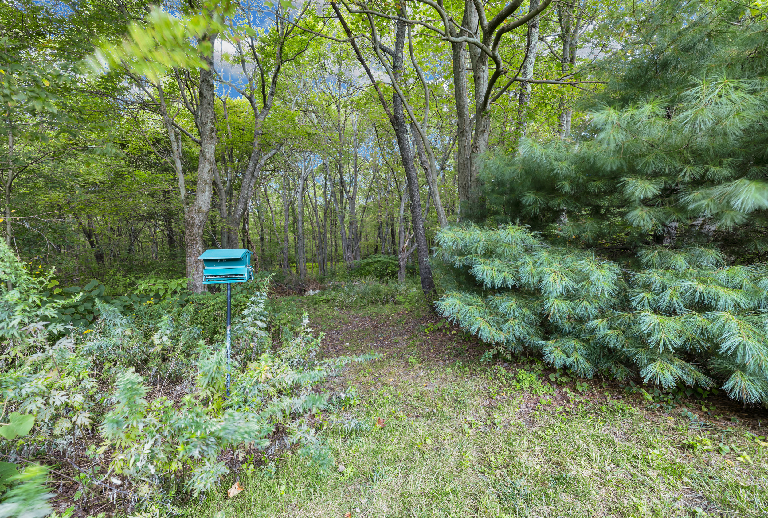 1259 Wolcott Road Wolcott CT 06716