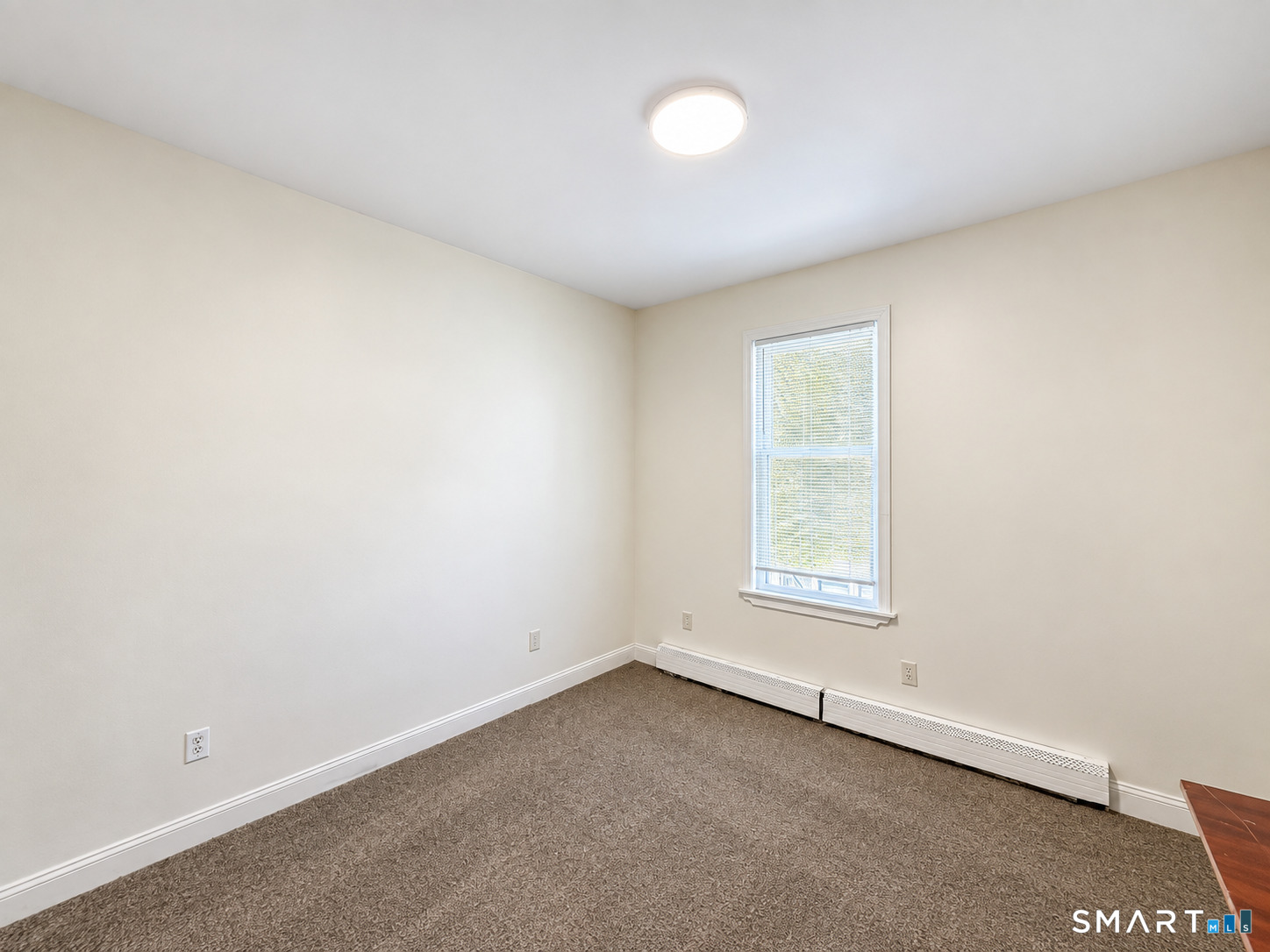 586 Orchard Street New Haven CT 06511