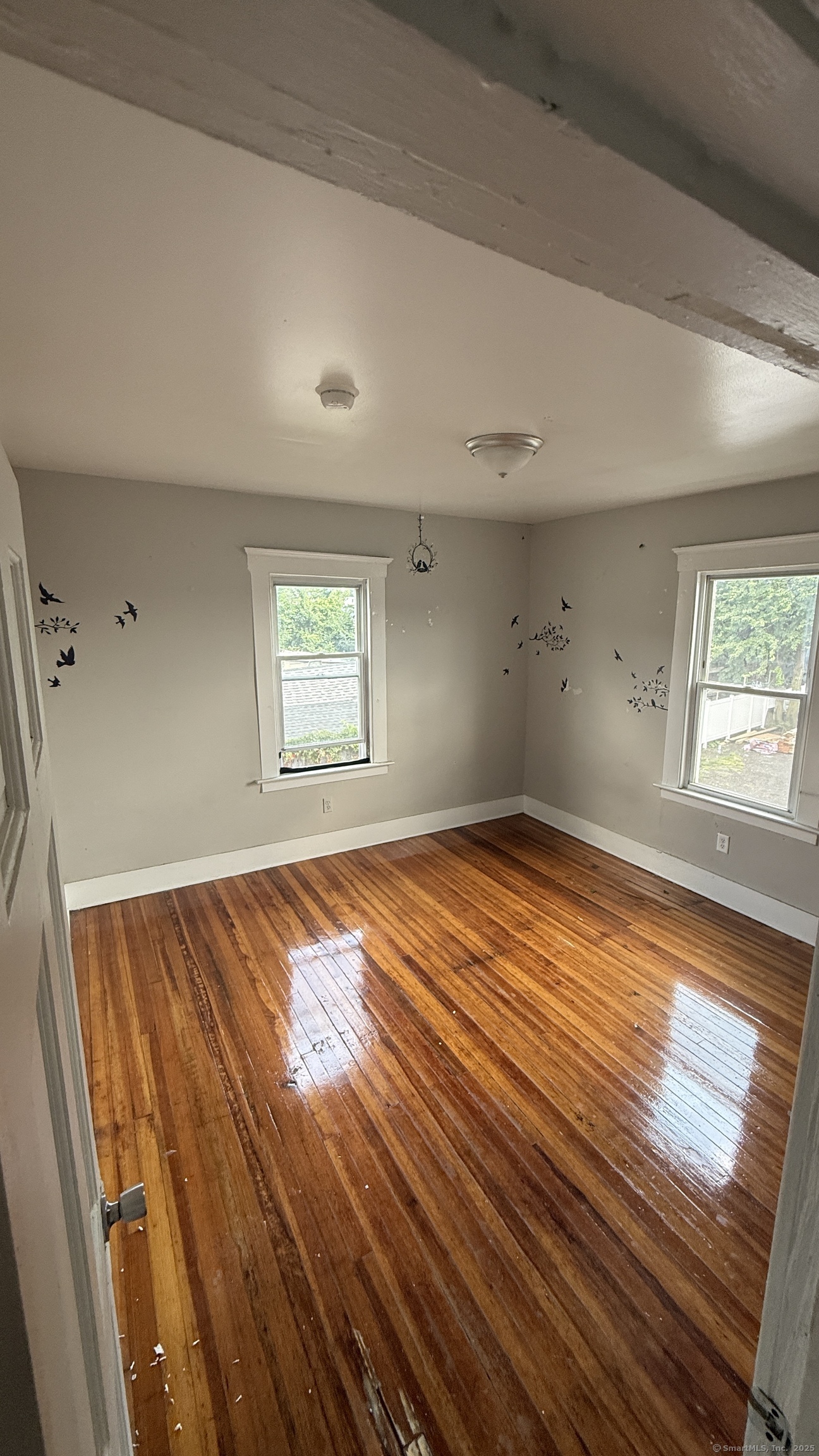 225 Fulton Terrace New Haven CT 06512