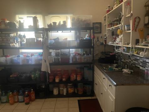 55 Connecticut Avenue New London CT 06320