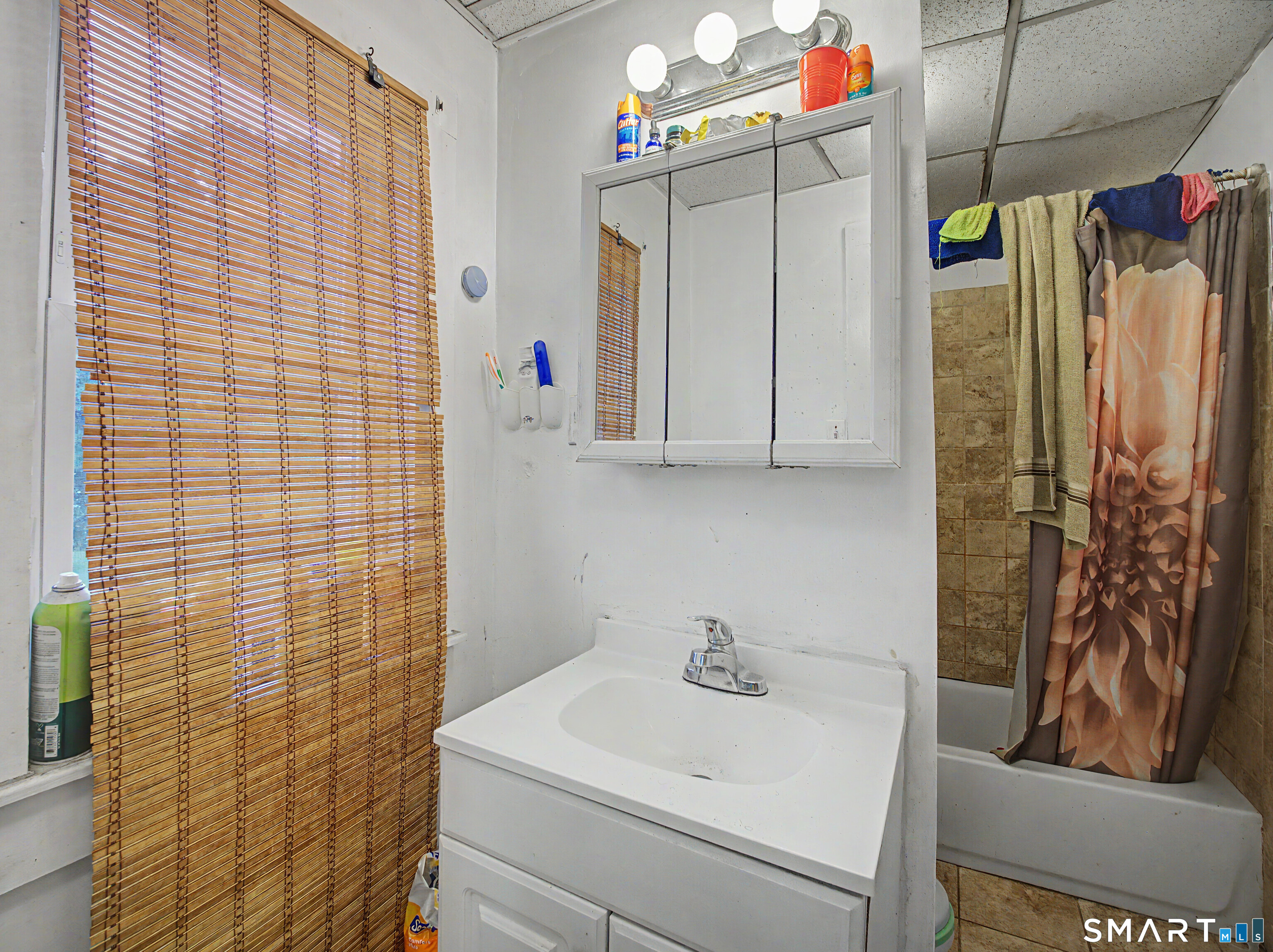319 Carroll Avenue Bridgeport CT 06607
