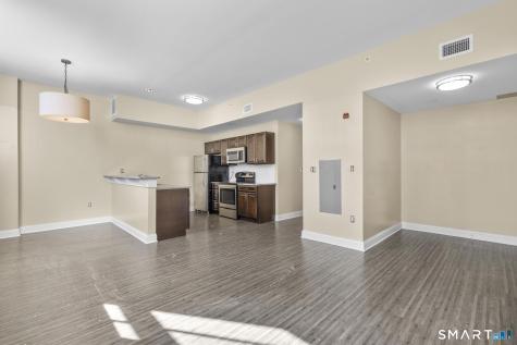 199 Ann Uccello Street Hartford CT 06103