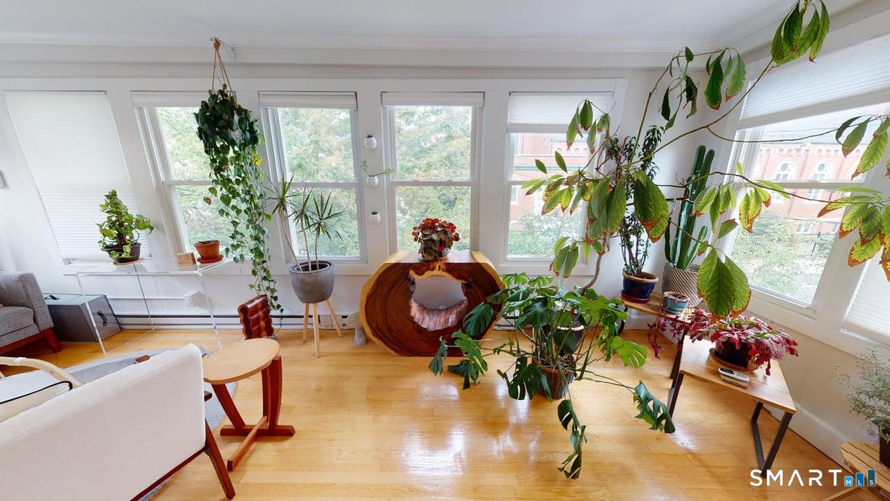 6 Eld Street New Haven CT 06511
