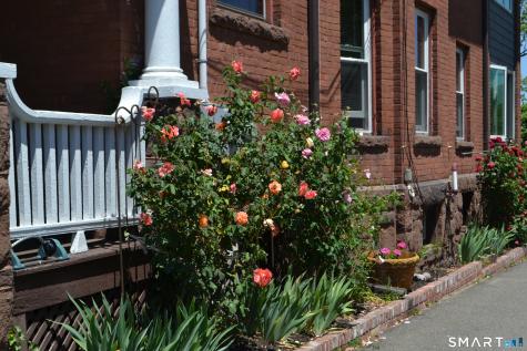 292 Hartford Avenue Wethersfield CT 06109