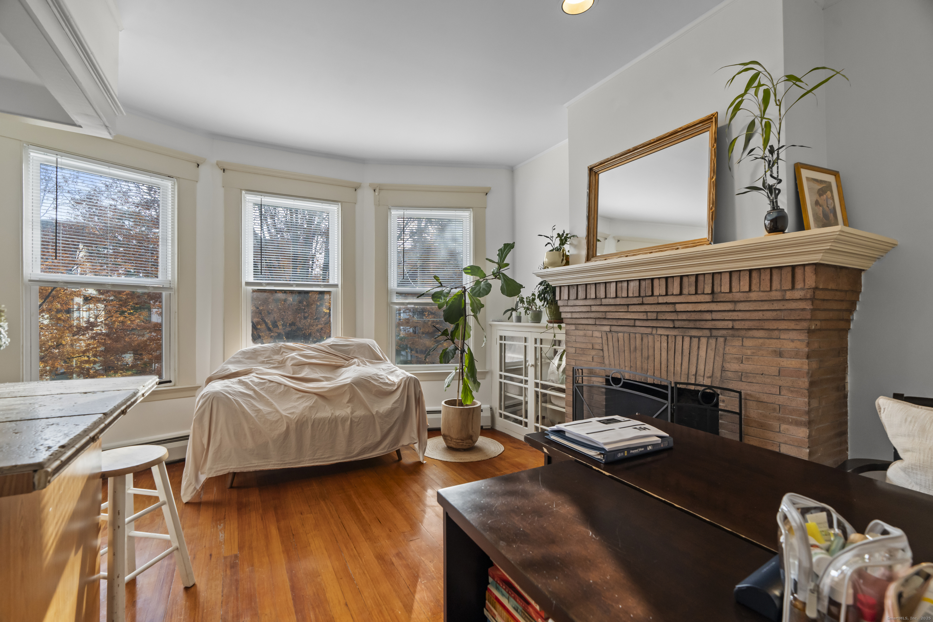 317 Willow Street New Haven CT 06511