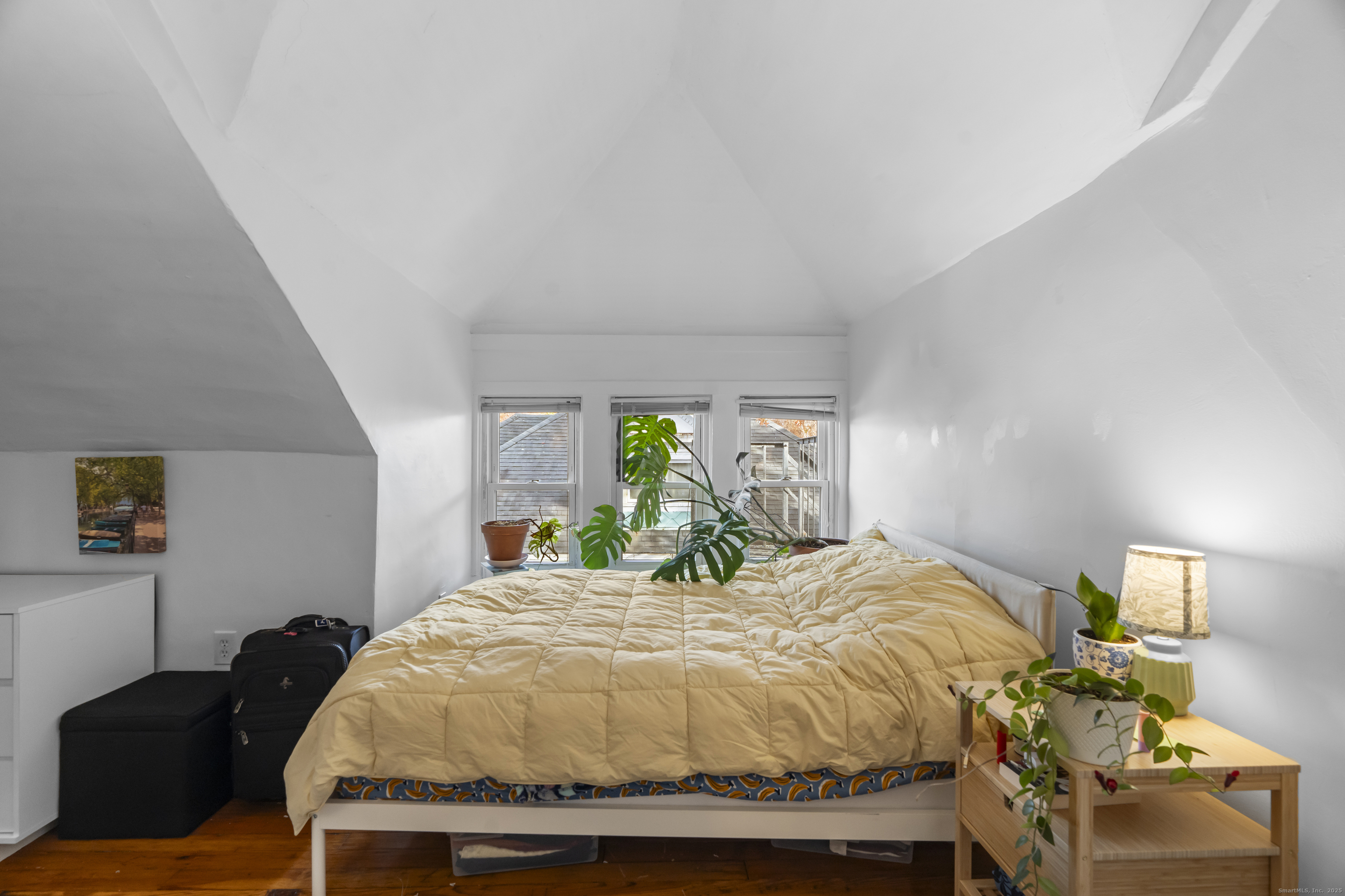317 Willow Street New Haven CT 06511