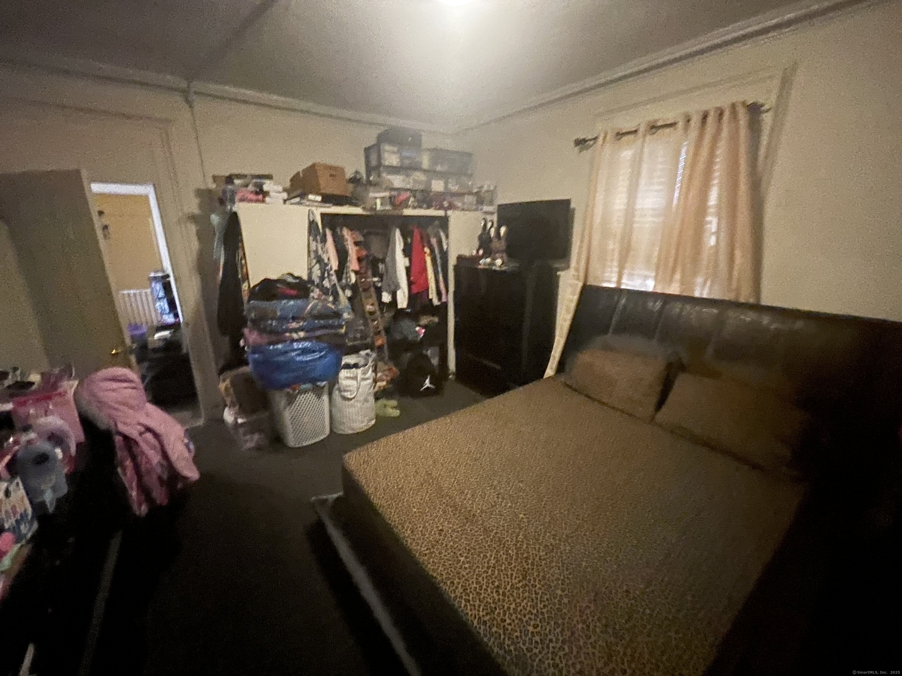 56 Woolsey Street New Haven CT 06513