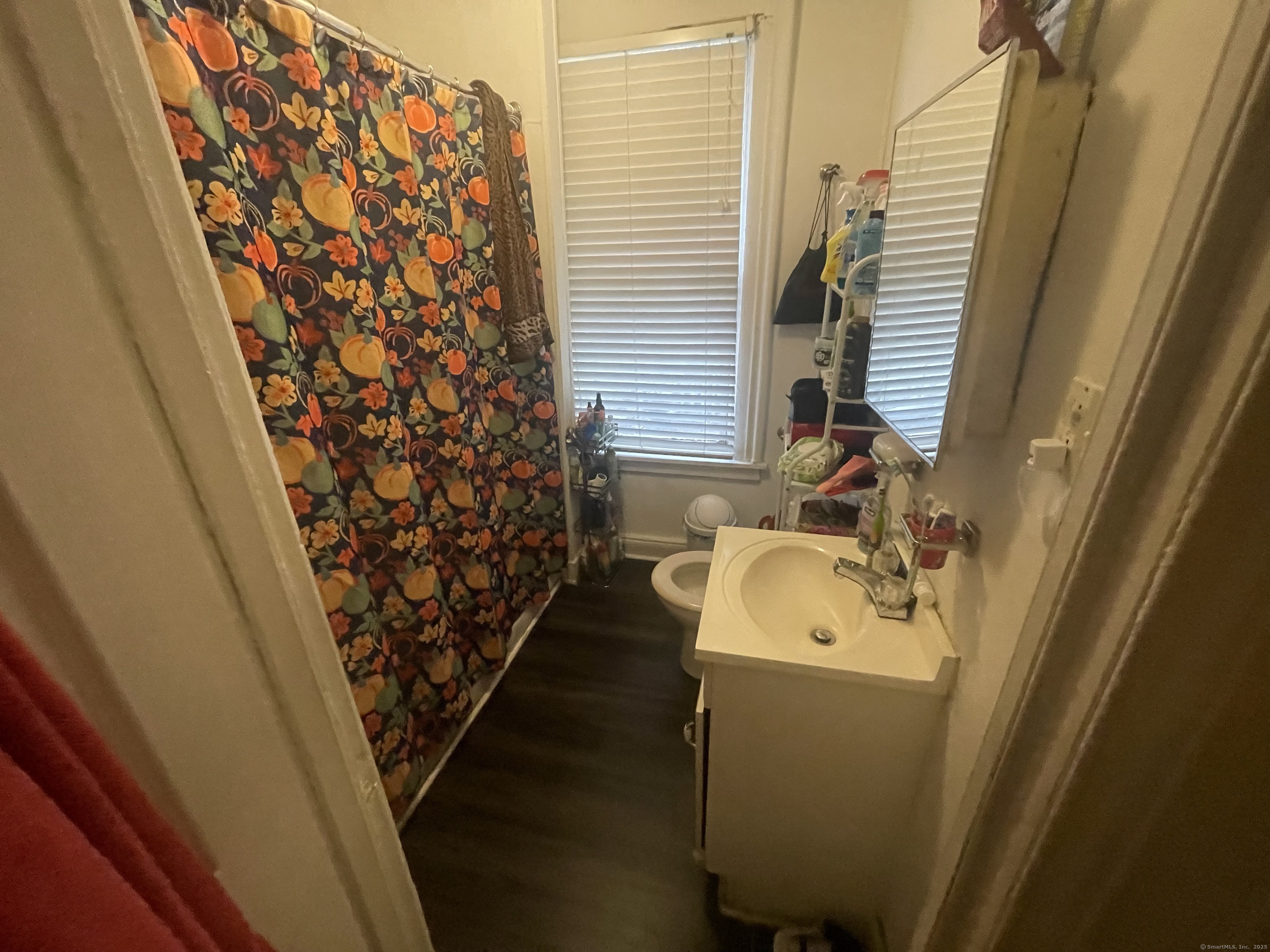 56 Woolsey Street New Haven CT 06513