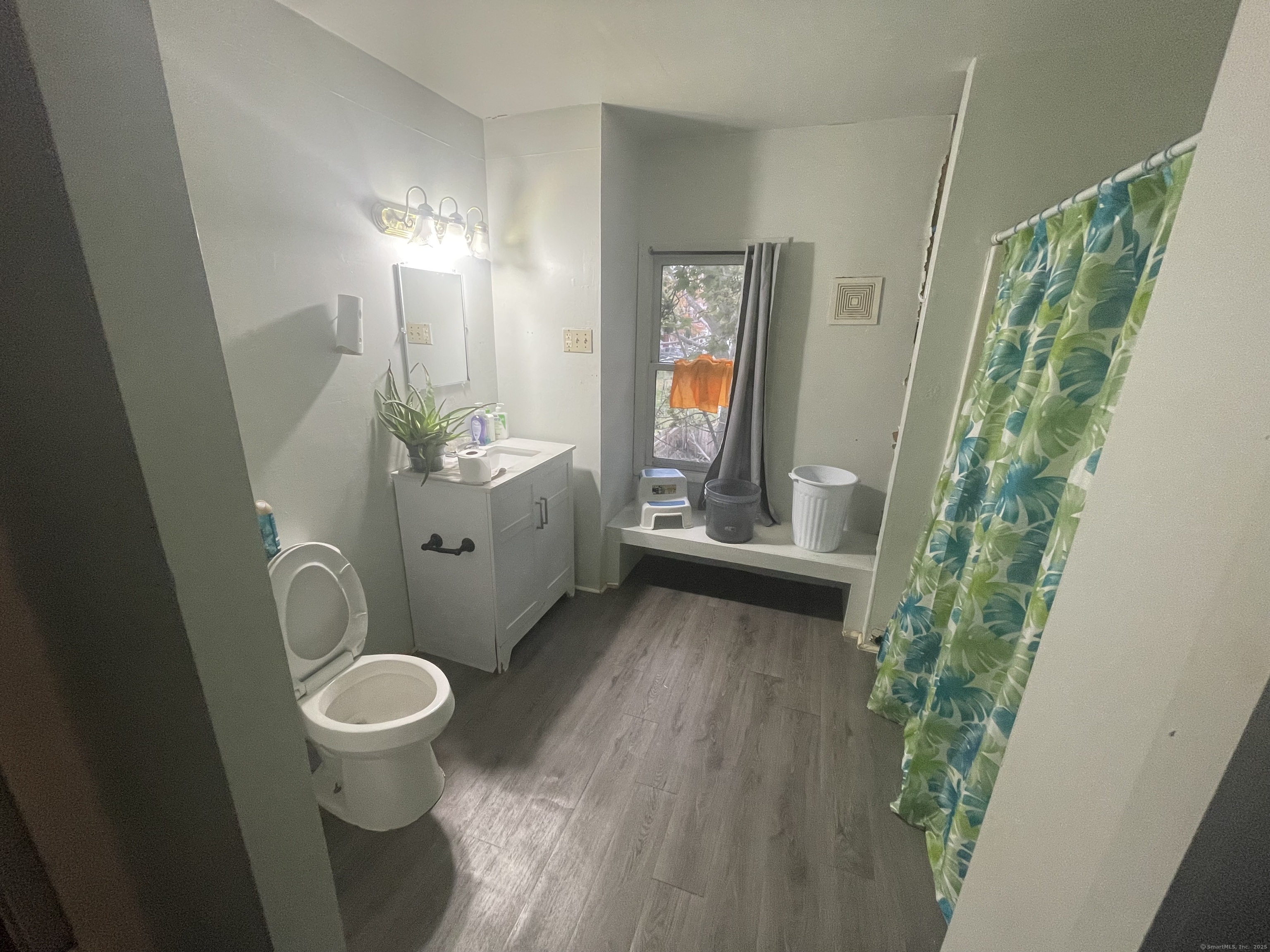 56 Woolsey Street New Haven CT 06513