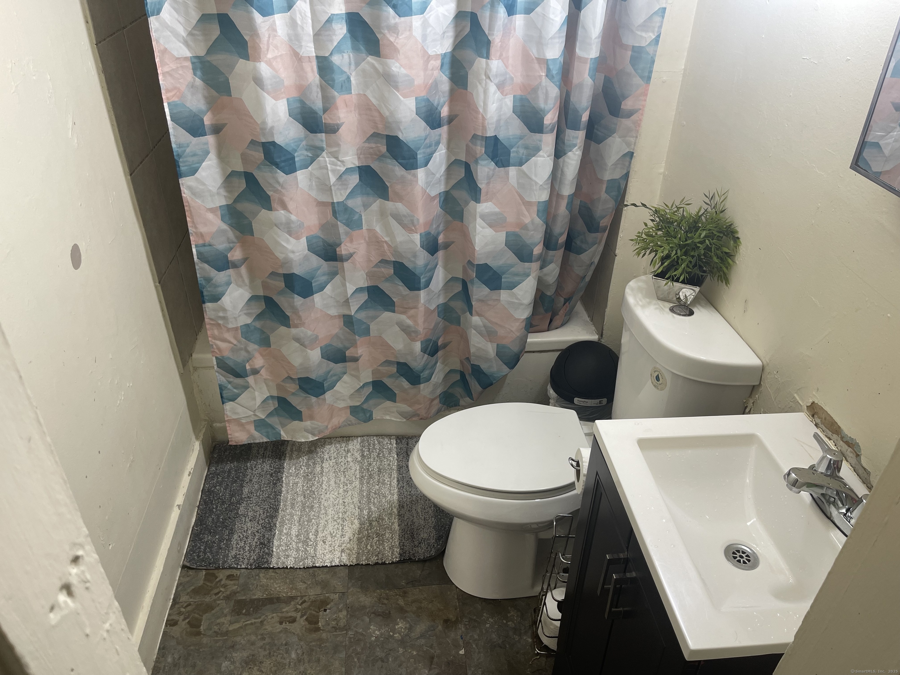 56 Woolsey Street New Haven CT 06513