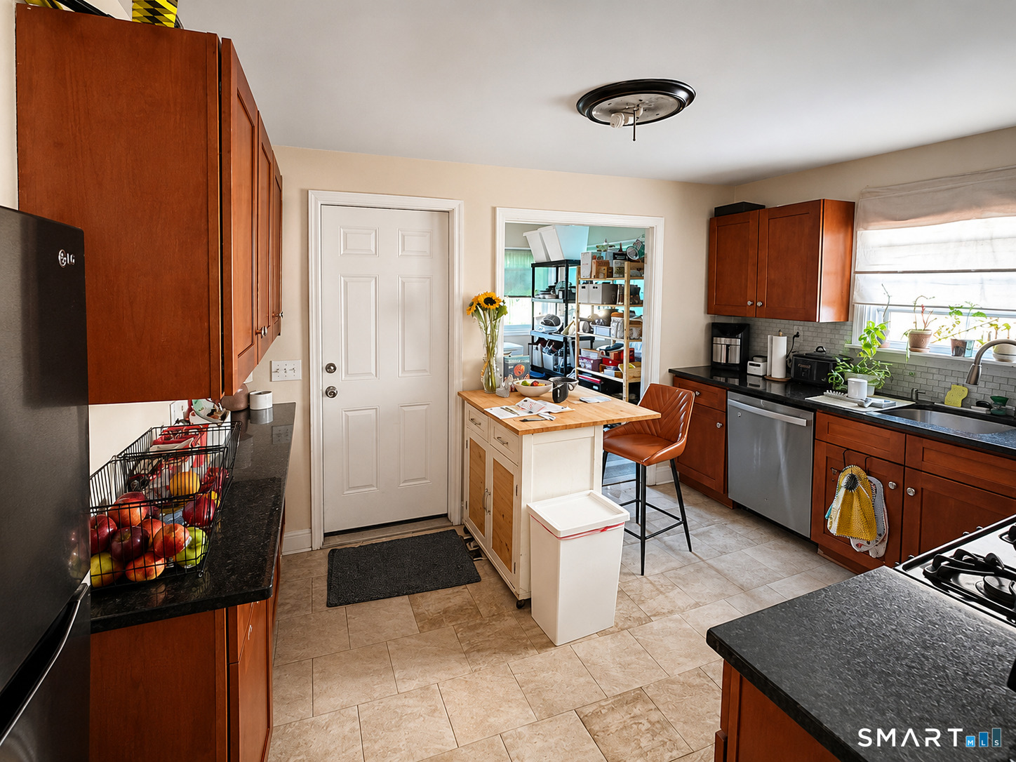 23 Earl Street New Haven CT 06515