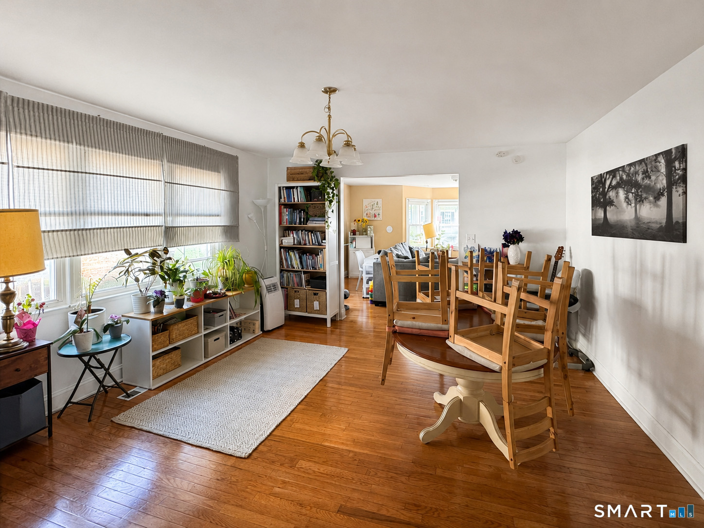 23 Earl Street New Haven CT 06515