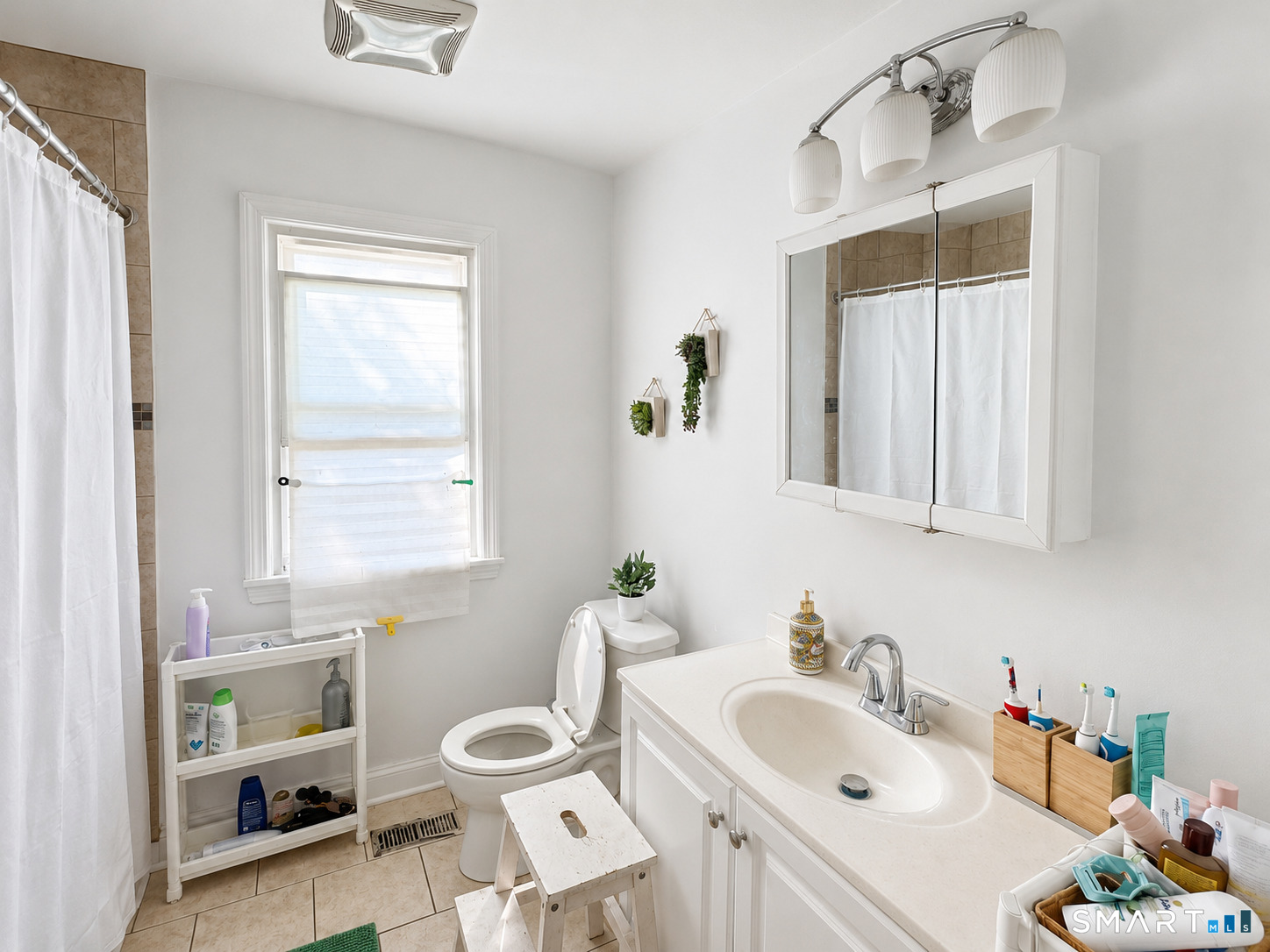 23 Earl Street New Haven CT 06515