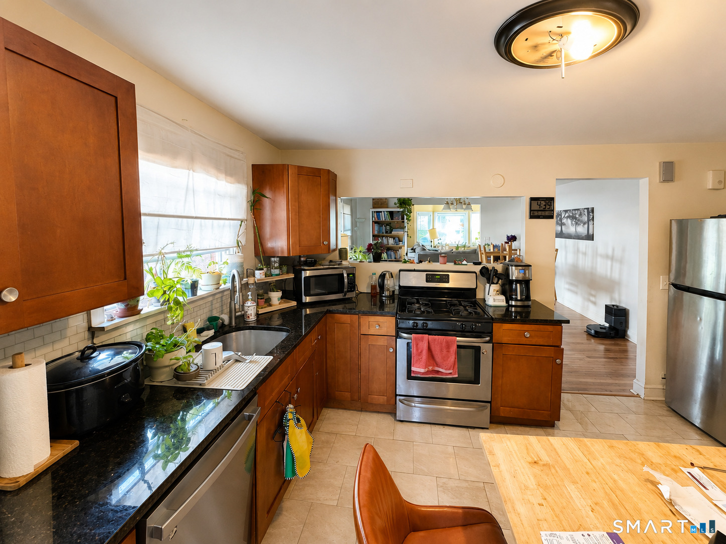 23 Earl Street New Haven CT 06515