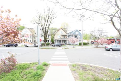 New Haven CT 06515