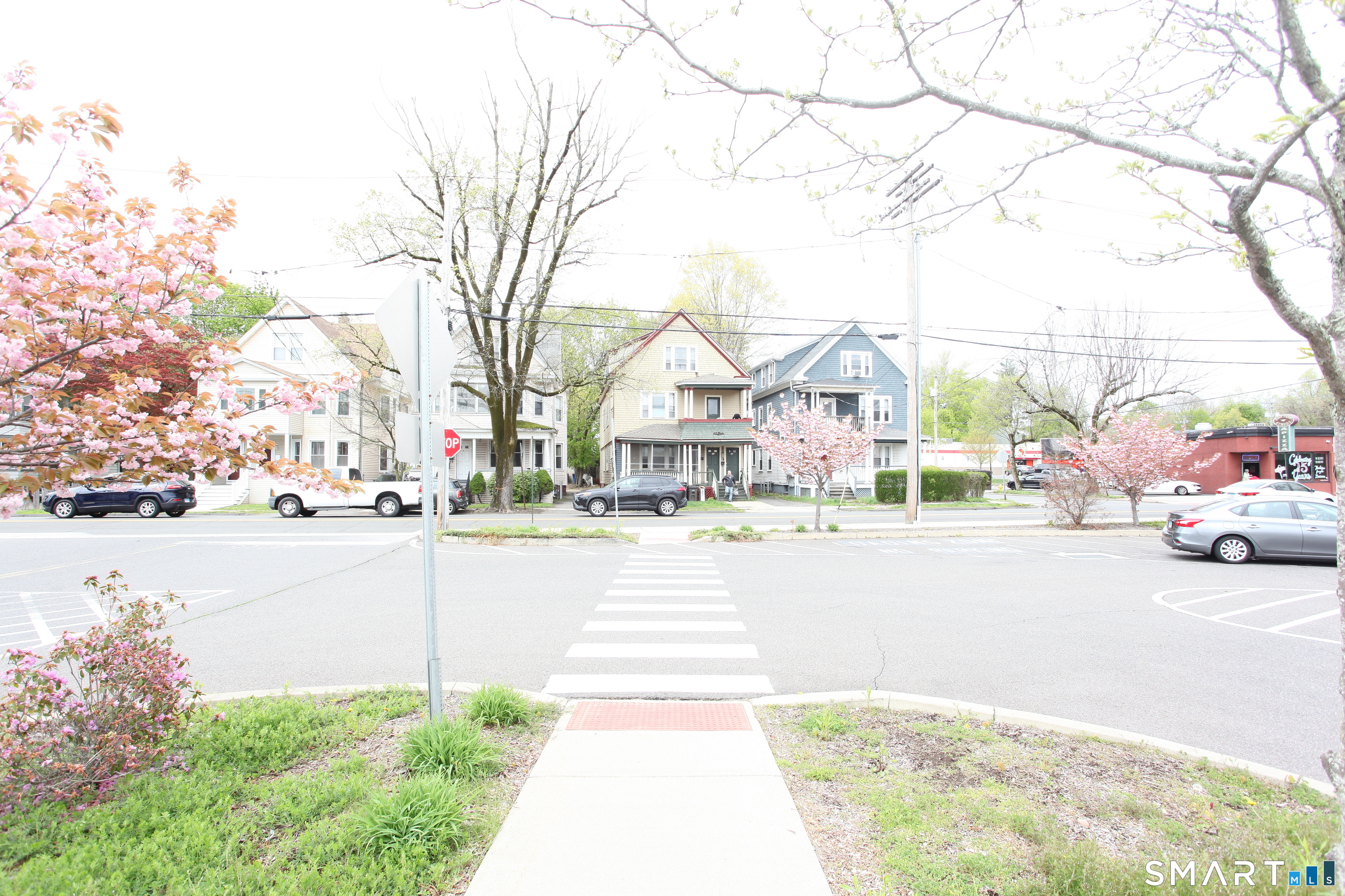 New Haven CT 06515