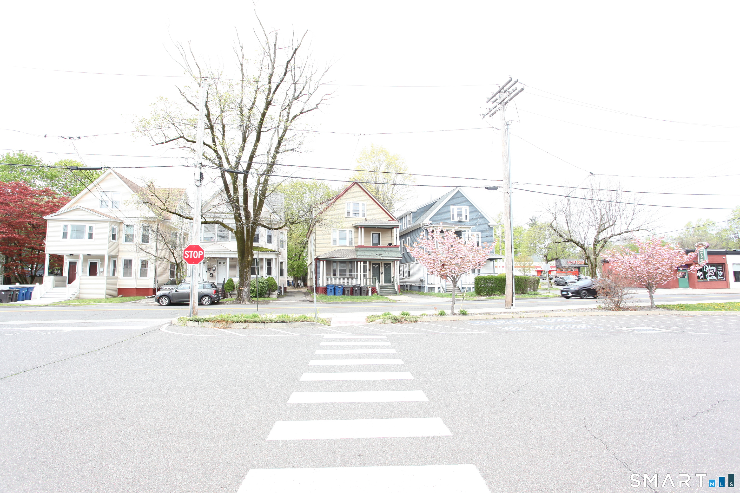 New Haven CT 06515