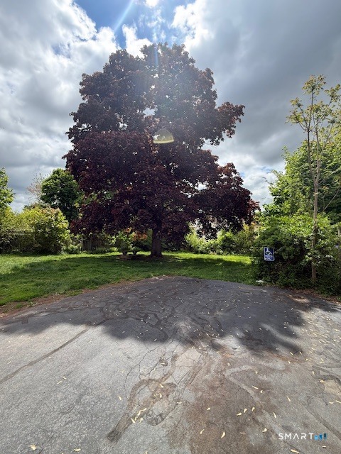 85 Ellis Street New Britain CT 06051