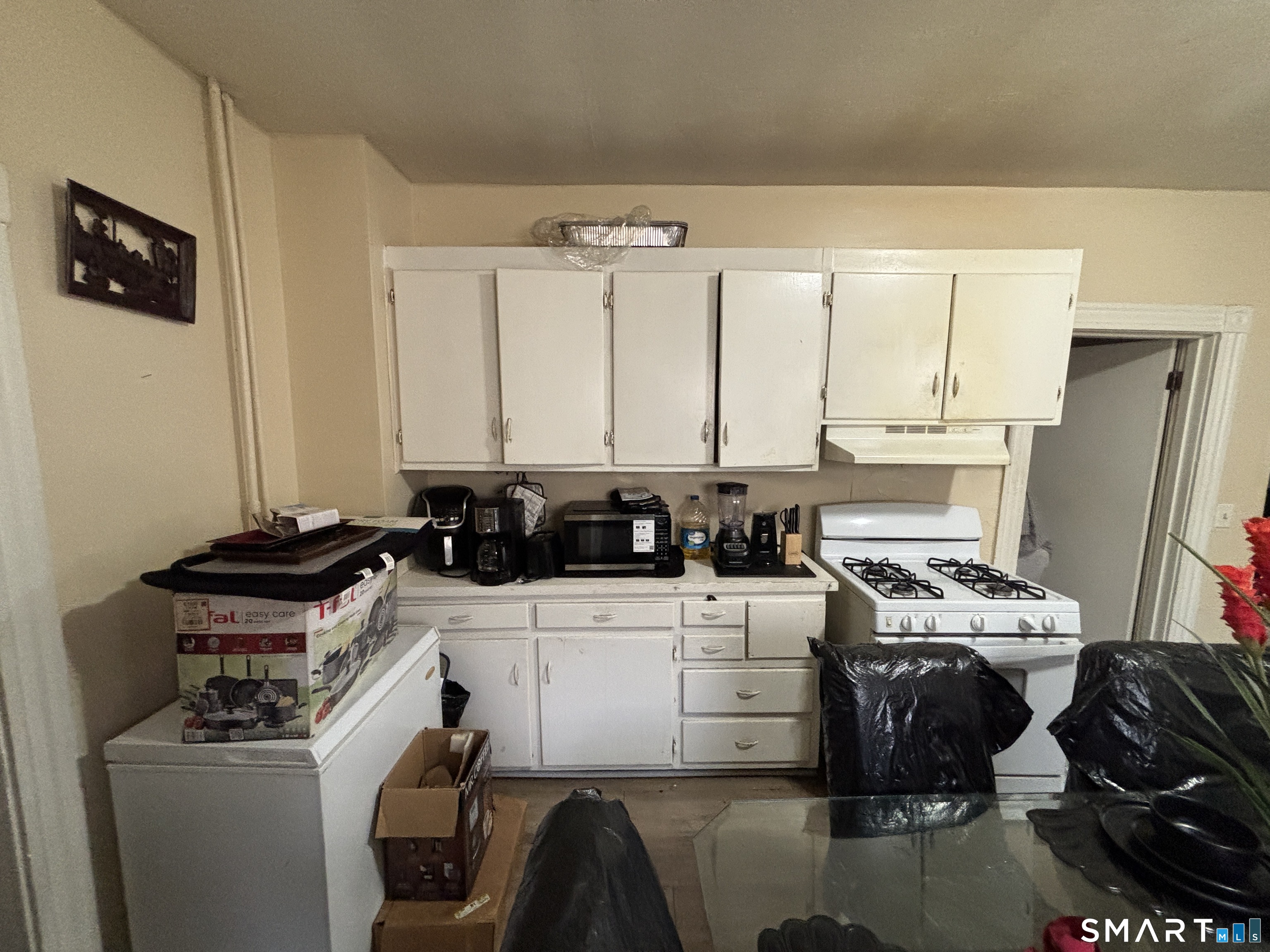 206 Lamberton Street New Haven CT 06519