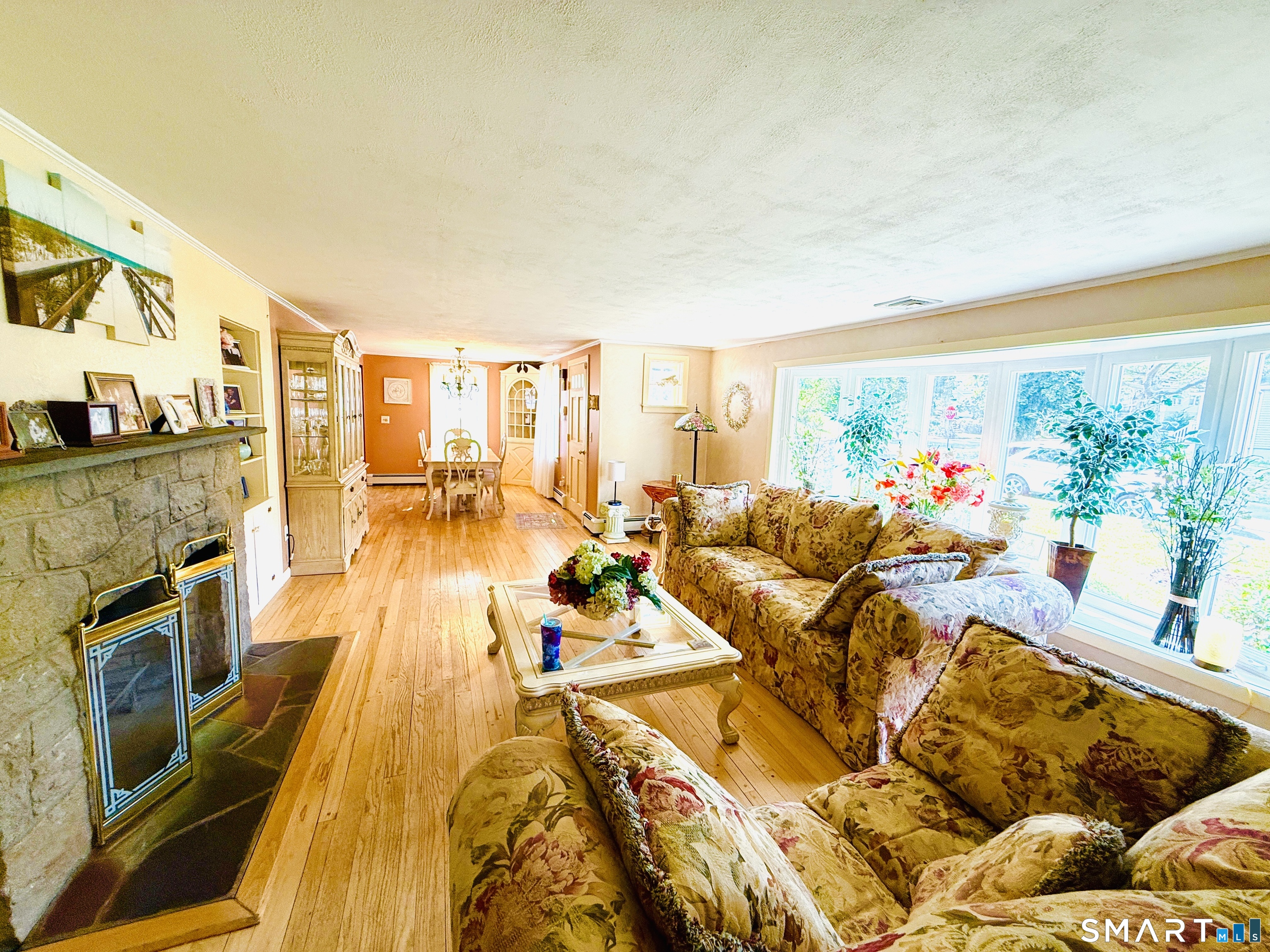 5 Elmer Street New Haven CT 06512