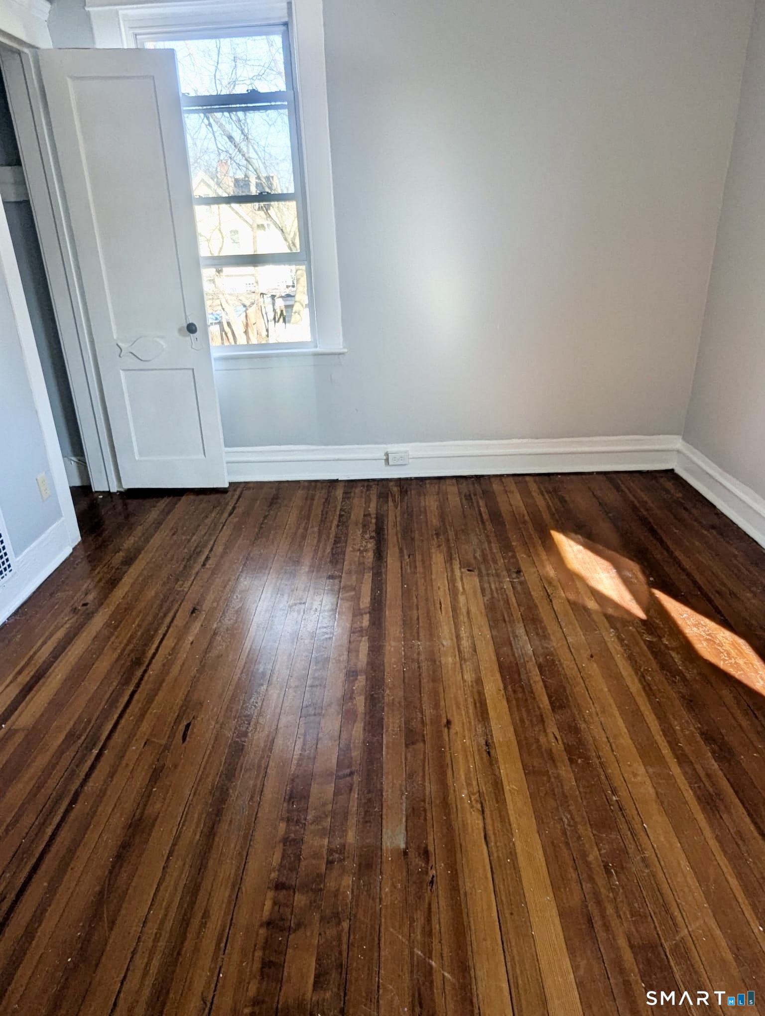 11 Dorman Street New Haven CT 06511