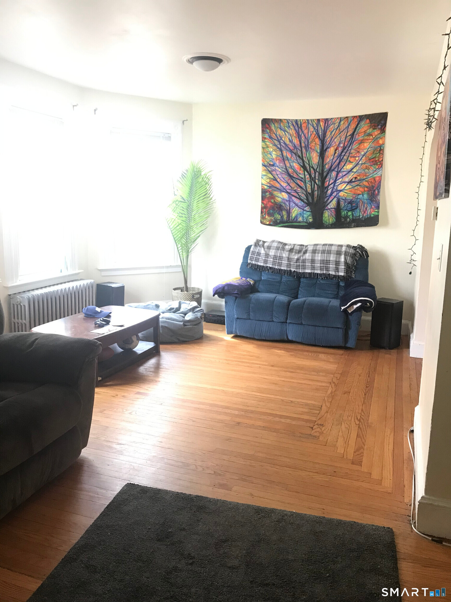 217 Alden Avenue New Haven CT 06515