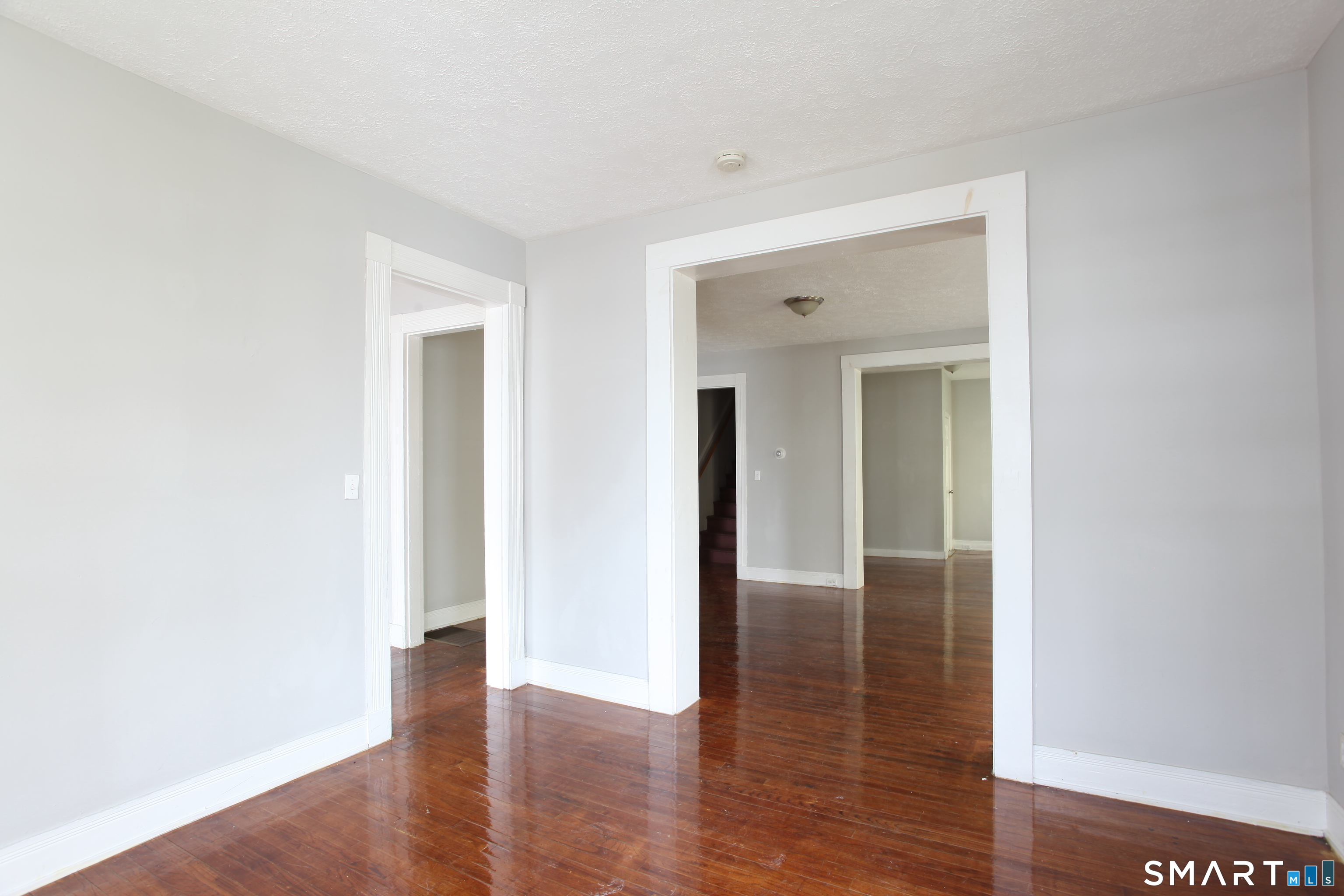 New Haven CT 06519
