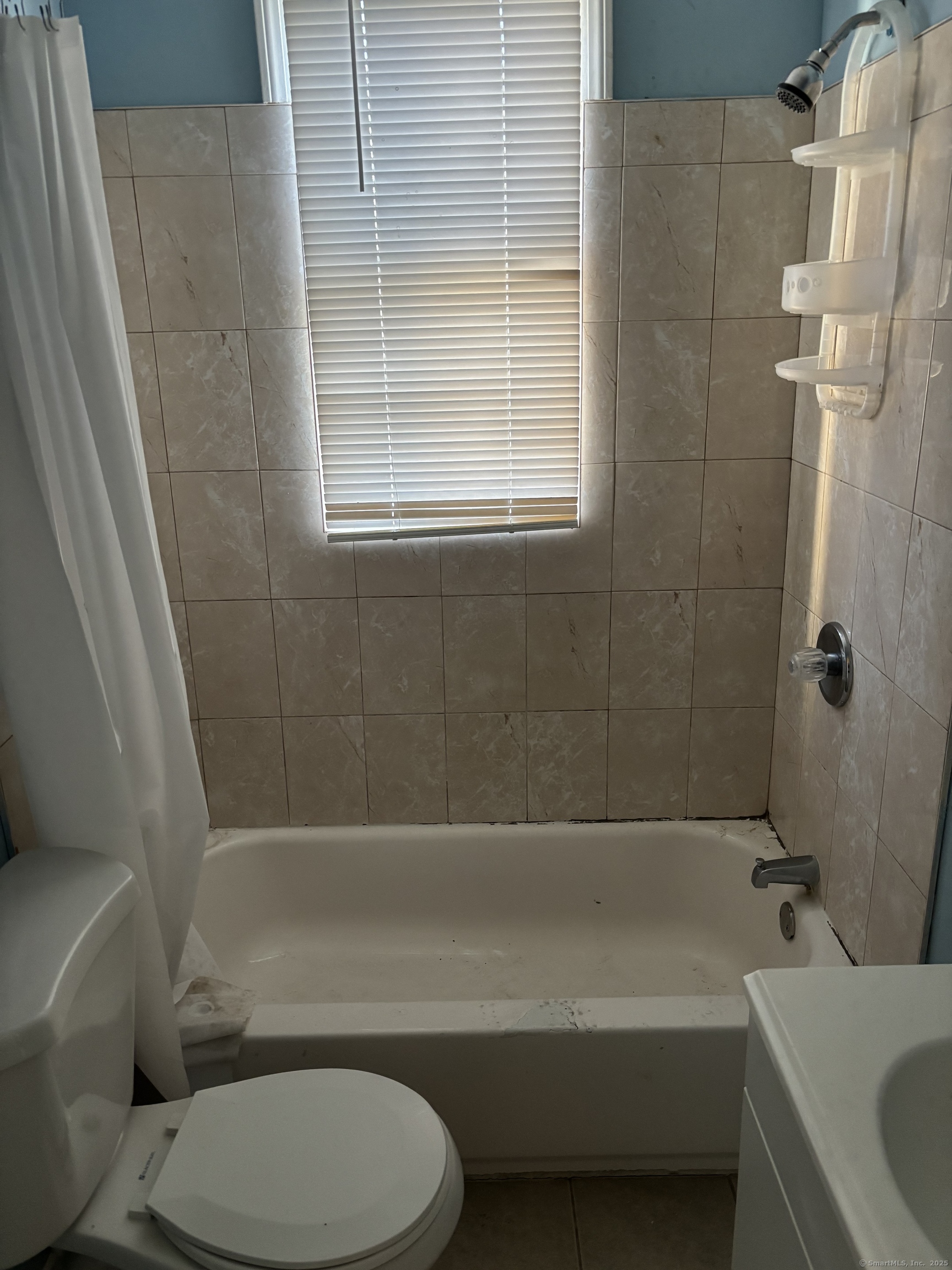 373 Blatchley Avenue New Haven CT 06513