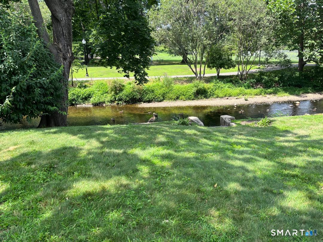 Stamford CT 06902