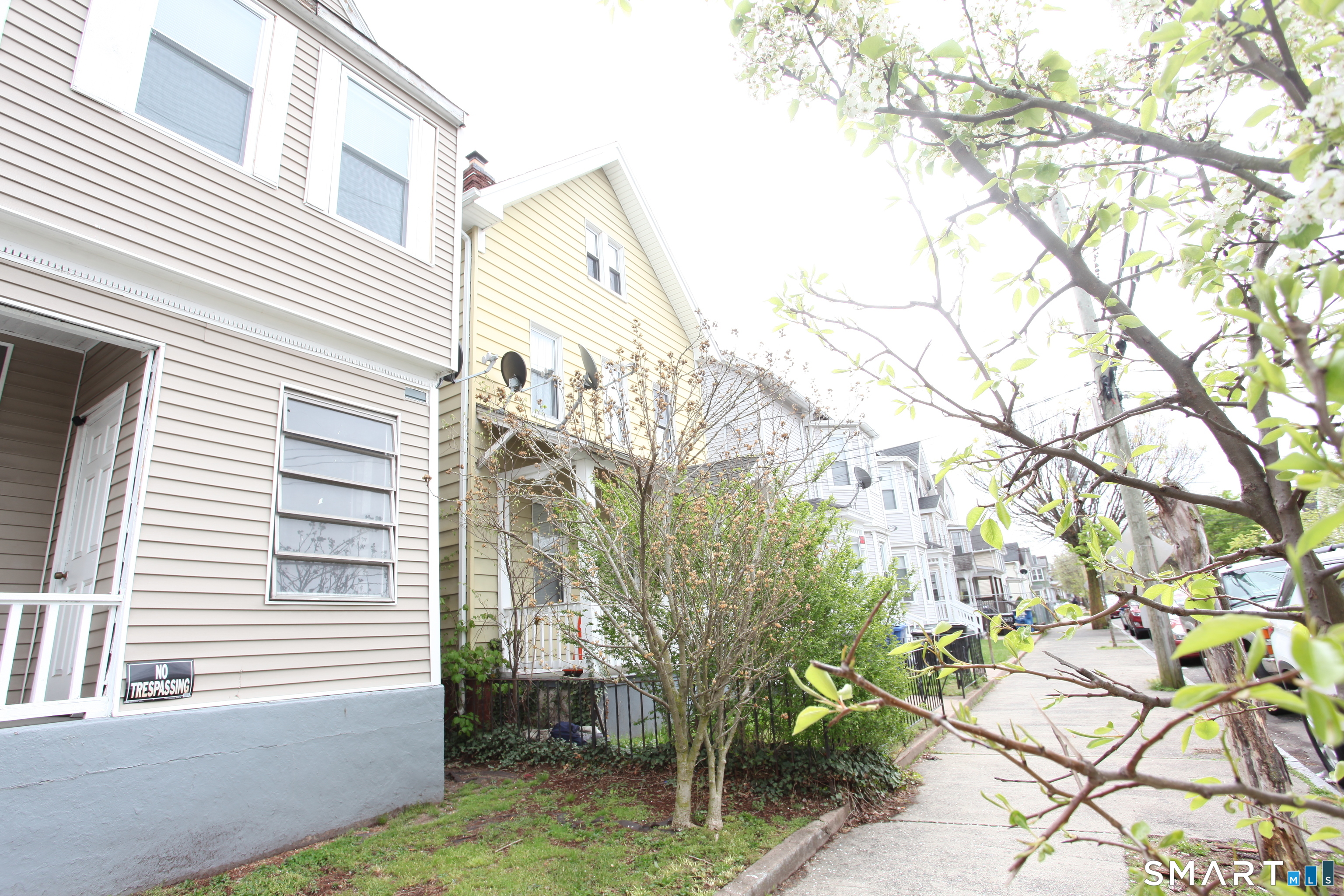 New Haven CT 06519