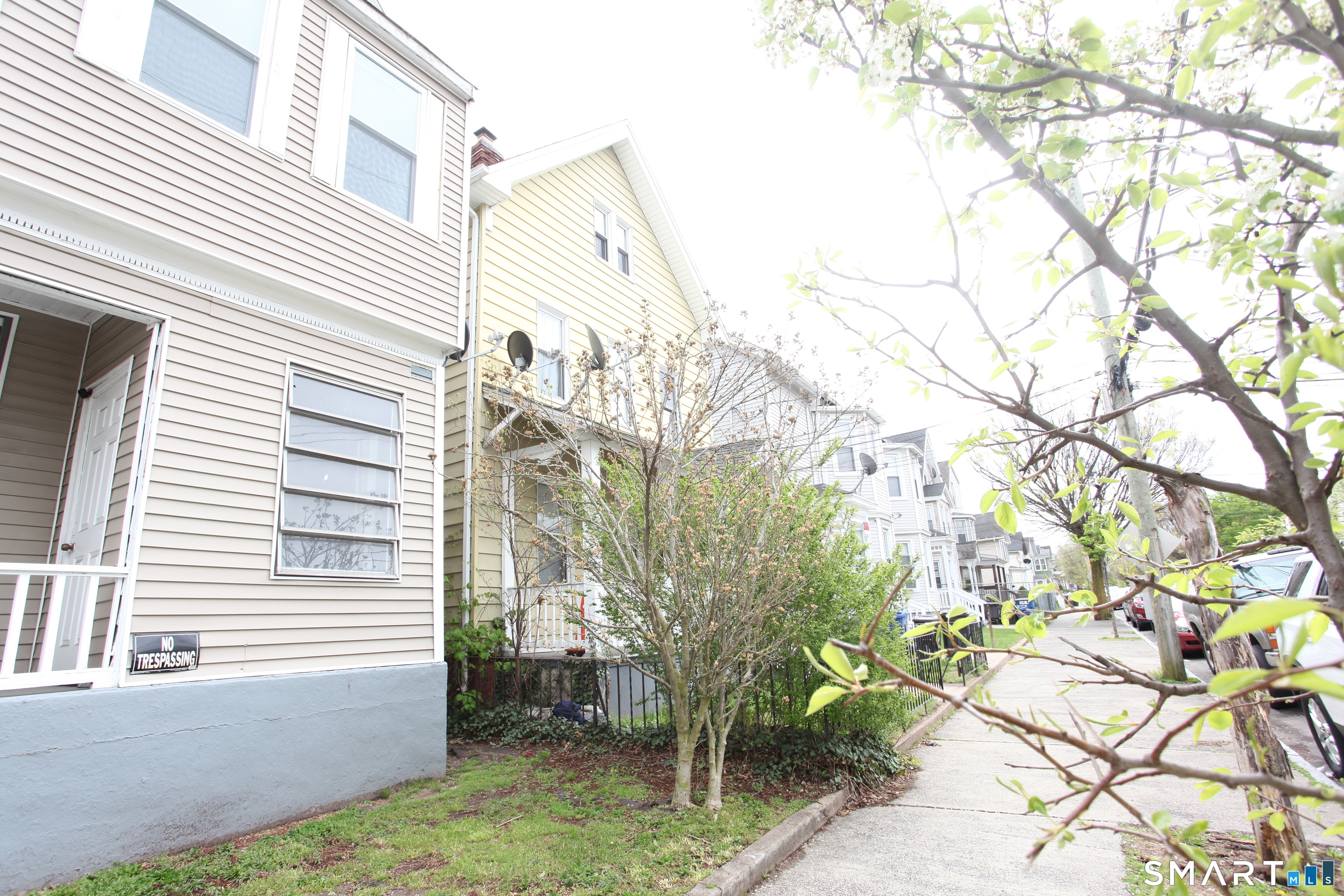 New Haven CT 06519