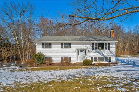 8 Willow Run Brookfield CT 06804